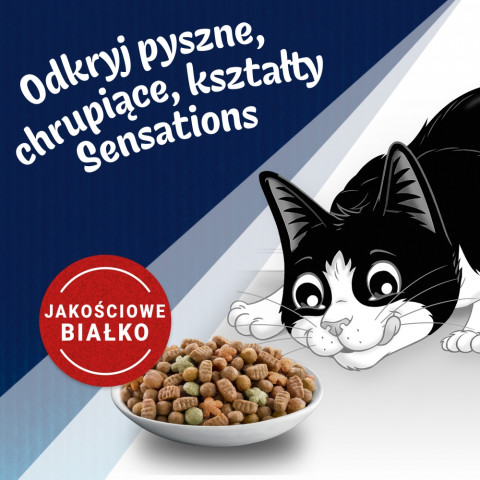 PURINA Felix Countryside Sensations - trockenfutter für Katzen - 1kg - Fotogalerie 5