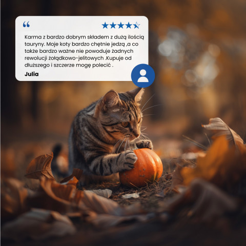 FARMINA N&D Pumpkin Cat Lamb and Blueberry Neutered Adult - Trockenfutter für Katzen - 1.5 kg - Fotogalerie 2