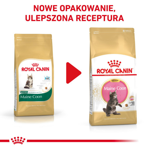 ROYAL CANIN Maine Coon Kitten - Trockenfutter für Katzen - 2 kg - Fotogalerie 4