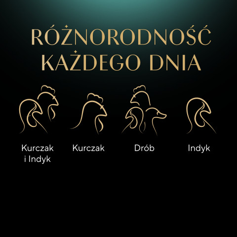 SHEBA Schalensauce Geflügel/Huhn/Pute - Katzennassfutter - 32x85g - Fotogalerie 6