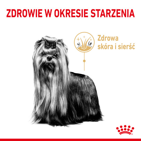 Royal Canin Yorkshire Ageing 8+ - Trockenfutter für ältere Hunde - 3kg - Fotogalerie 5