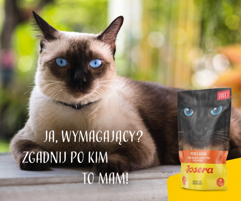 JOSERA Hühnerfilet - Nassfutter für Katzen - 70 g - Fotogalerie 2
