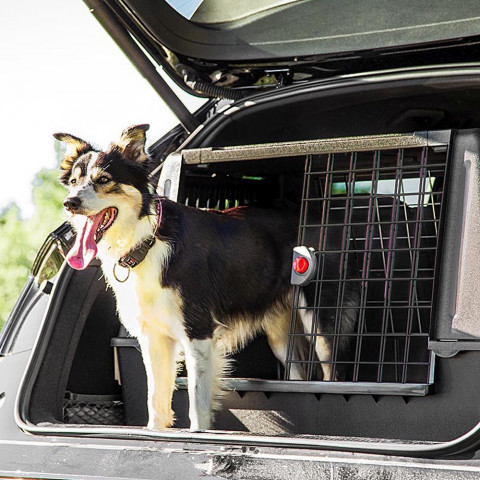 FERPLAST Atlas Car 100 Scenic, Autotransporter für Tiere - Fotogalerie 11