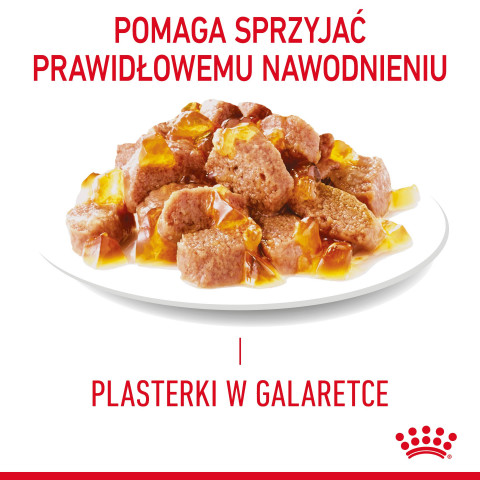ROYAL CANIN FCN Light Weight Care in Gelee - Nassfutter für ausgewachsene Katzen - 12x85g - Fotogalerie 8