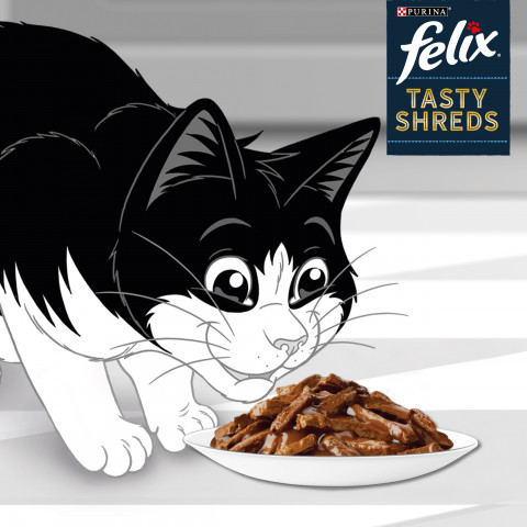 FELIX Tasty Shreds mit Rindfleisch und Huhn - 4x 80g - Fotogalerie 4