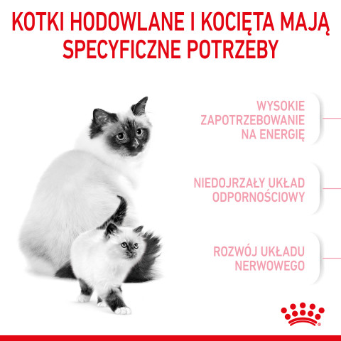 Royal Canin Mother & Babycat Katzen-Trockenfutter 4 kg Adult Geflügel - Fotogalerie 10