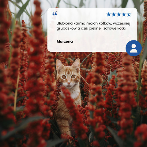 FARMINA N&D Quinoa Weight Management Lamb&Broccoli - Trockenfutter für Katzen - 5 kg - Fotogalerie 4