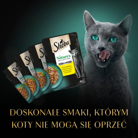 SHEBA Nature's Collection Poultry Flavors in jelly - nassfutter für Katzen - 40 x 85g - Fotogalerie 12