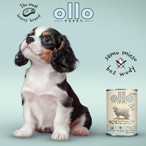 OLLO Puppy Umami Rindfleisch und Grüner Pansen mit Entenleber - Nassfutter für Hunde - 400g - Fotogalerie 6