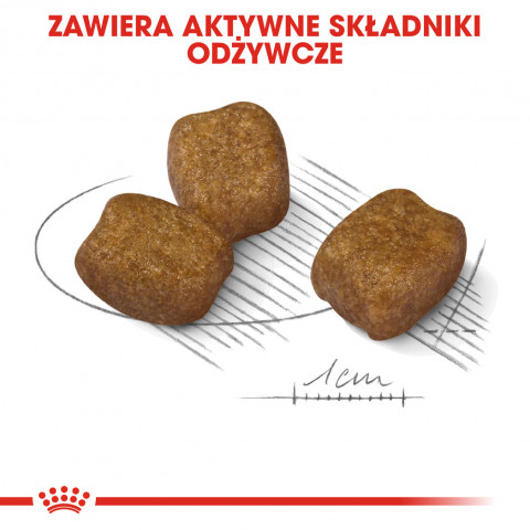 ROYAL CANIN CCN Mini Dental Care - Trockenfutter für ausgewachsene Hunde - 3kg - Fotogalerie 2