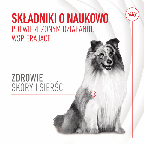 ROYAL CANIN Supplements Dog Skin & Coat Adult - hundevitamine - 240g - Fotogalerie 9