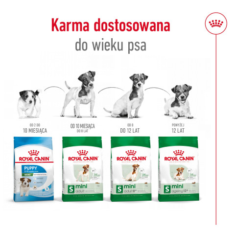 ROYAL CANIN Mini Ageing Adult +12 - Trockenfutter für Hunde - 3,5 kg - Fotogalerie 7