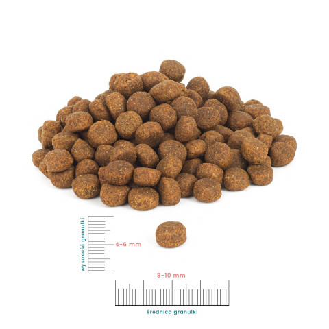 PERRO Junior Beef with sweet potatoes - trockenfutter für Hunde - 9kg - Fotogalerie 2