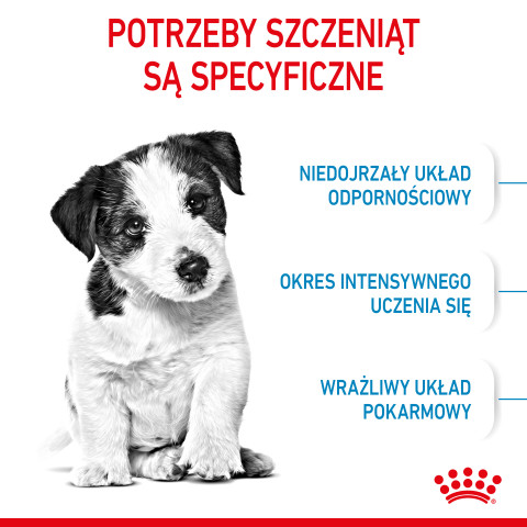Royal Canin SHN Mini Puppy - Trockenfutter für Welpen - 4kg - Fotogalerie 2