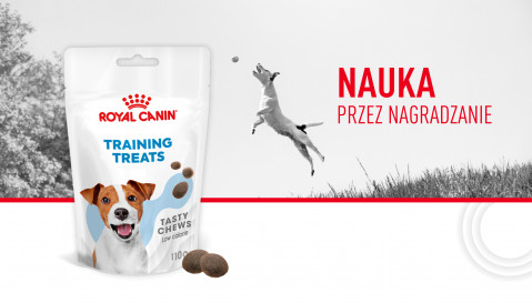ROYAL CANIN Training Treats - leckerli für hunde - 110g - Fotogalerie 2