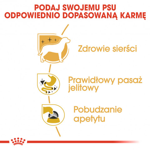 ROYAL CANIN Chihuahua - Paket 12x85g - Fotogalerie 6