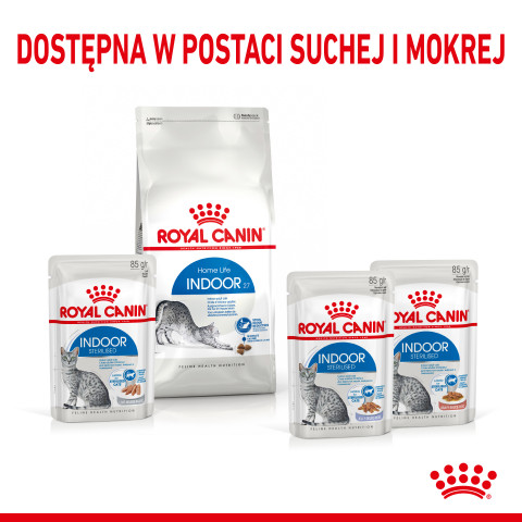 ROYAL CANIN FHN Indoor jelly - Nassfutter für ausgewachsene Katzen - 12x85g - Fotogalerie 3