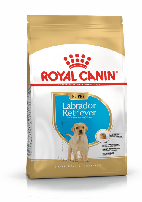 ROYAL CANIN SHN Breed Labrador Junior Trockenfutter für Hunde - 12 kg. - Fotogalerie 1