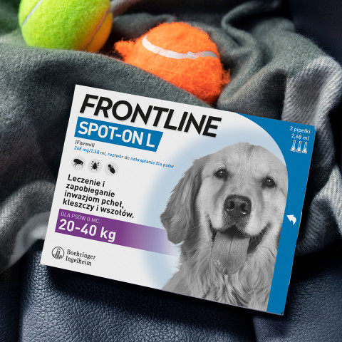 Frontline Spot- on L Parasitentropfen für Hunde 20-40 kg, 3 x 2,68 ml - Fotogalerie 4