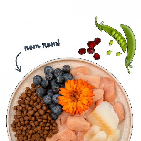 BOSCH Sanabelle Adult Trout & Blueberries - trockenfutter für Katzen - 2kg - Fotogalerie 3