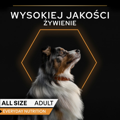 PURINA Pro Plan Everyday nutrition All size Adult Fish in jelly - Nassfutter für Hunde - 24x400g - Fotogalerie 3