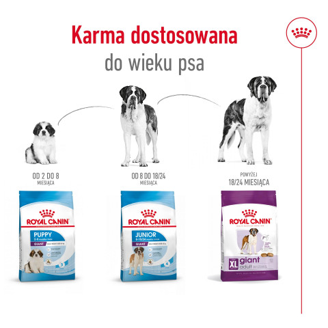 ROYAL CANIN Giant Adult - Trockenfutter für Hunde - 15 kg - Fotogalerie 8