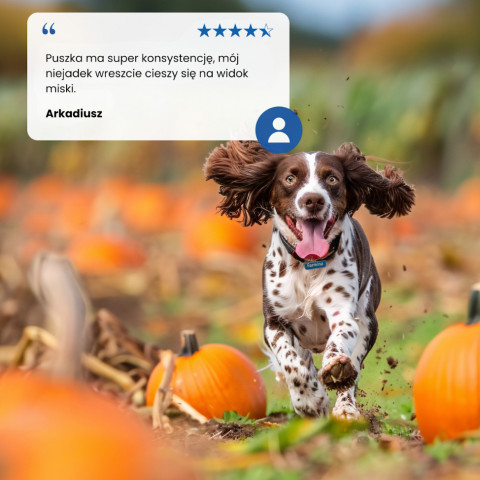 Nasses Hundefutter - FARMINA N&D DOG LAMB&PUMPKIN&BLUEBERRY PUPPY 285g - Fotogalerie 3