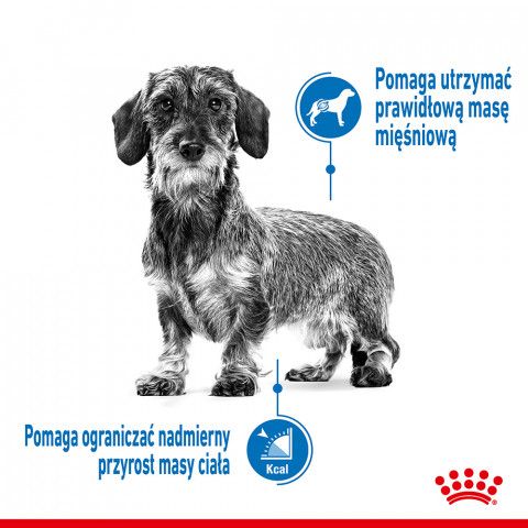 Royal Canin CCN MINI LIGHT WEIGHT CARE - Trockenfutter für ausgewachsene Hunde - 3kg - Fotogalerie 9