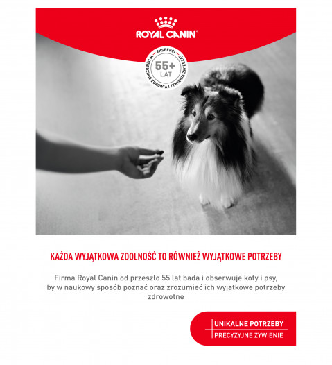 ROYAL CANIN Supplements Dog Skin & Coat Adult - hundevitamine - 240g - Fotogalerie 8