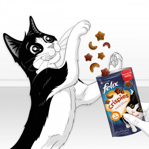 FELIX Crispies Beef, Chicken - Trockenfutter für Katzen - 45 g - Fotogalerie 8