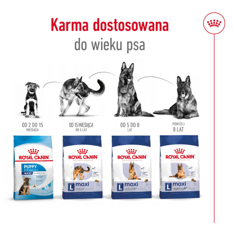 ROYAL CANIN Maxi Adult - Trockenfutter für Hunde - 15 kg - Fotogalerie 6