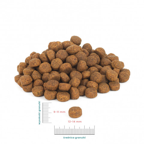 PERRO Beef with lamb Medium and large breeds - trockenfutter für Hunde - 1kg - Fotogalerie 2