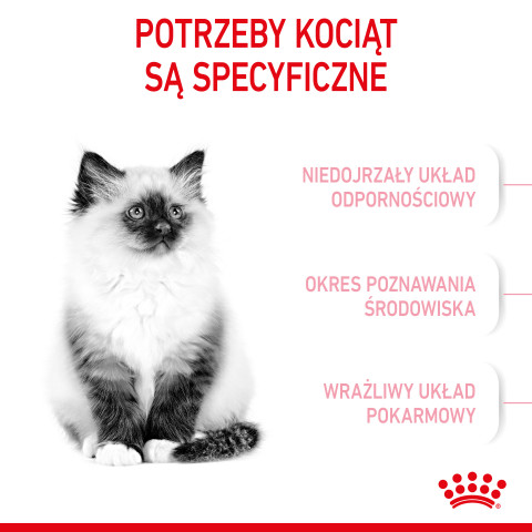 Royal Canin Kitten Katzen-Trockenfutter 10 kg - Fotogalerie 10
