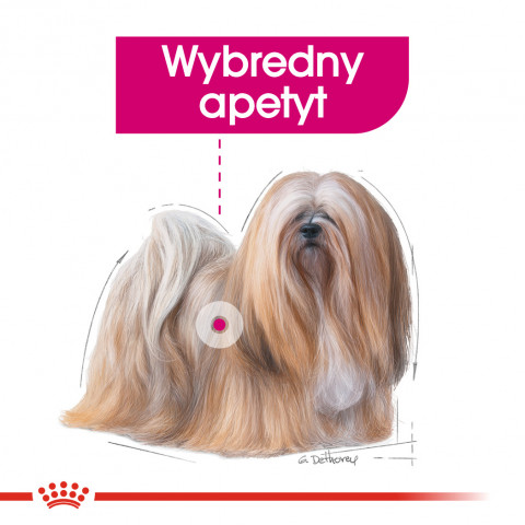 ROYAL CANIN Exigent Nassfutter für Hunde Pastete 12x85 g - Fotogalerie 7