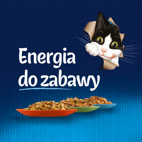  Felix Fanstastic Huhn, Tomate - Nassfutter für Katzen - 85 g - Fotogalerie 7