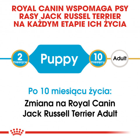Royal Canin SHN Breed Jack Russell Junior - Trockenfutter für Hunde Geflügel, Reis - 3 kg - Fotogalerie 2