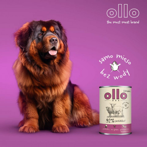 OLLO Umami Lamb and beef - Nassfutter für Hunde - 400g - Fotogalerie 8
