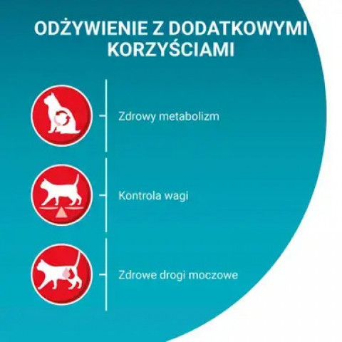 PURINA One Sterilcat Wołowina - trockenfutter für Katzen - 9,75kg - Fotogalerie 5