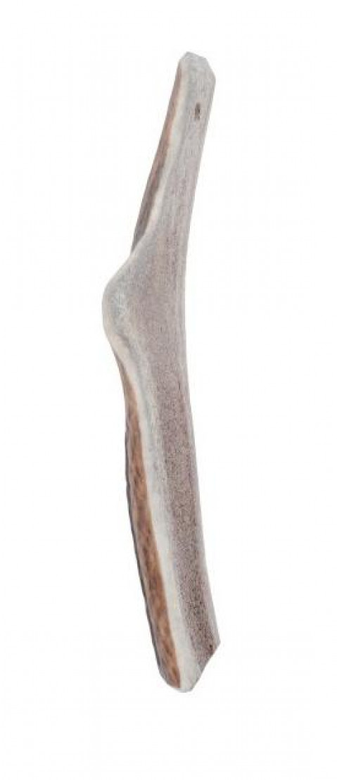 ZOLUX Deer antlers Easy >10kg - kauartikel für hunde - 70g - Fotogalerie 2