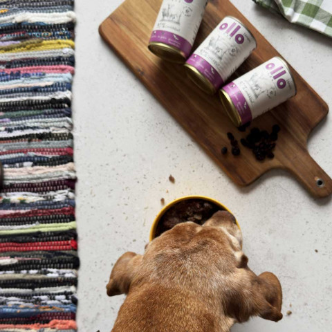 OLLO Umami Lamb and beef - Nassfutter für Hunde - 850g - Fotogalerie 4