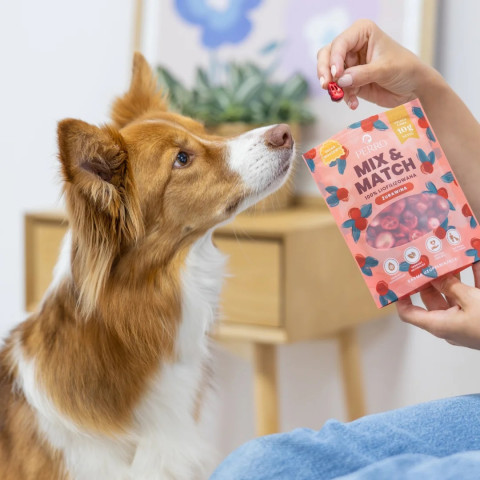 PERRO Mix & Match Cranberries - leckerli für hunde - 10g - Fotogalerie 2