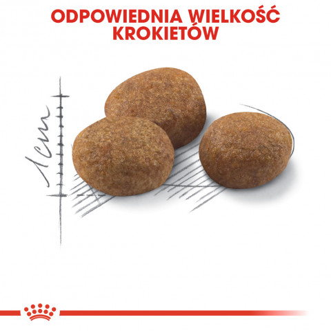 ROYAL CANIN Sterilised 7+ - Trockenfutter für Katzen - 10 kg - Fotogalerie 9