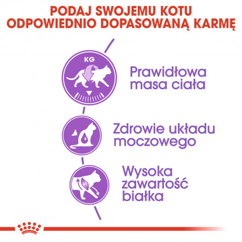 ROYAL CANIN Sterilised 37 - Trockenfutter für Katzen - 10 kg - Fotogalerie 3