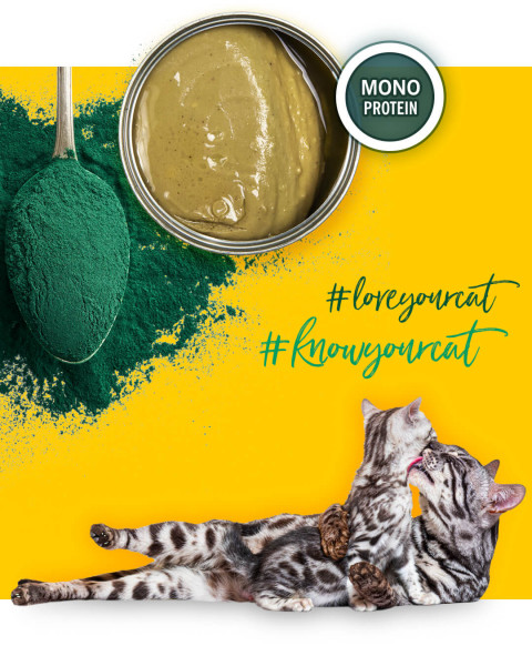3COTY Chicken with spirulina For kittens and nursing cats - nassfutter für Katzen - 6x80g - Fotogalerie 6