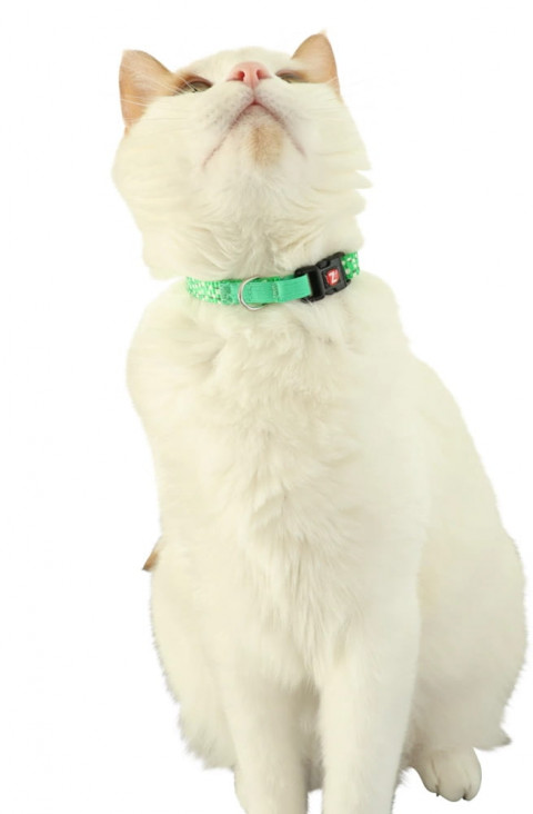 ZOLUX Chatouille green - halsband für katzen - Fotogalerie 3