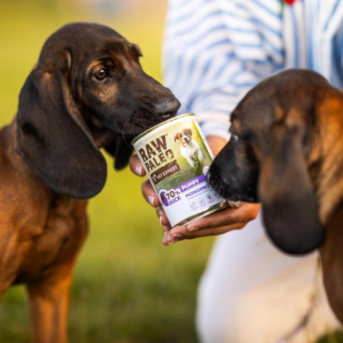RAW PALEO Adult Monoprotein Duck – Nassfutter für Hunde – 400 g - Fotogalerie 2