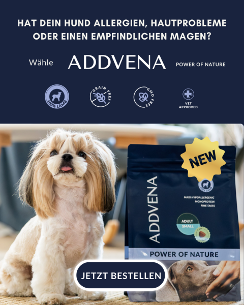 Addvena
