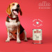 OLLO Pure Pork - Nassfutter für Hunde - 400g - Fotogalerie 8