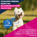EUKANUBA Premium nutrition mature Small breed Chicken - trockenfutter für Hunde - 3kg - Fotogalerie 3