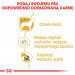 ROYAL CANIN Maltese Adult - Trockenfutter für Hunde - 1,5 kg - Fotogalerie 4